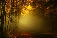1762833064_99d2fd1539.jpg