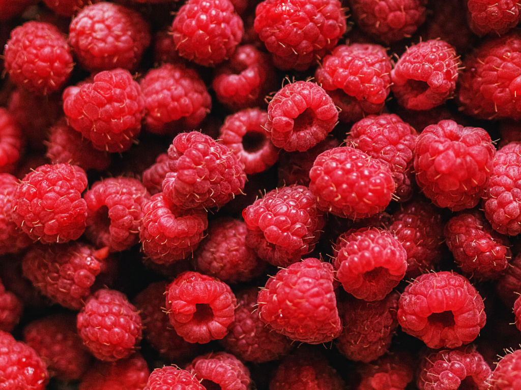 Faktūras raksturojums. Faktūra dabā — teorija. Vizuālā māksla ...