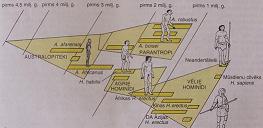 DSCF2934.JPG