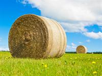shutterstock_106432646.jpg
