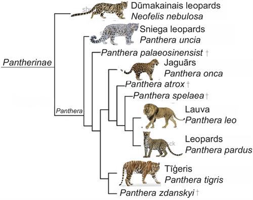 Screenshot 2025-10-10 081326.png