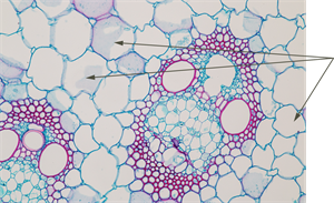 YCUZD_250324_7161_17.png