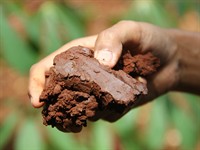 shutterstock_2497802393_clay_māls.jpg
