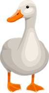 1 pīle.png