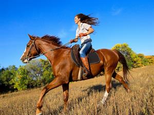 Shutterstock_86742637_riding a horse_jāt uz zirga.jpg