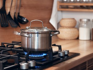 Shutterstock_2183552481_pot_katls.jpg