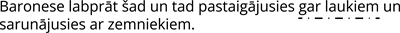 Pareizs_teikums_6.png