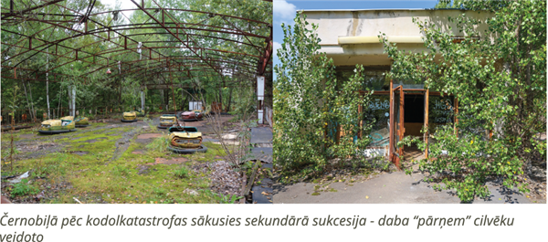 YCUZD_250508_7297_cilv_darbib_ietek_eko_5.png