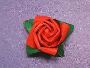 roze.jpg