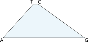 g1.png