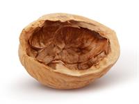 Shutterstock_427007359_empty walnut_tukšs valrieksts.jpg