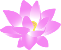 flower-159951_960_720.png