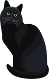 кот.png