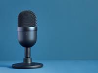 Shutterstock_2102951320_microphone_mikrofons.jpg