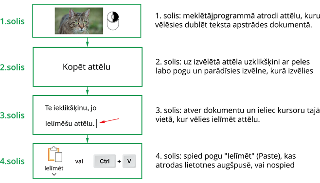YCUZD_241104_6704_attela_dublesana.png