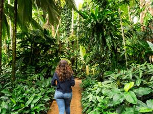 Shutterstock_1432450550_girl in tropical forest_meitene tropiskā mežā.jpg