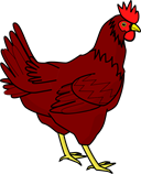 курица.png