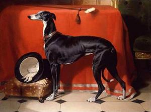 53 httpscommons.wikimedia.orgwikiFileEos,_A_Favorite_Greyhound_of_Prince_Albert.jpg.jpg