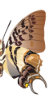 s2.png