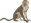 YCAT_230405_monkey.png