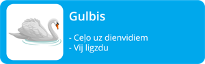YCUZD_220708_4022_gulbis.png