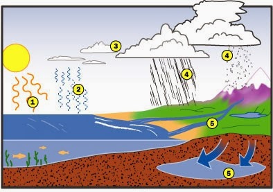 flood-cycle.jpg