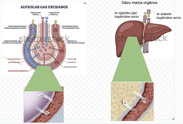 Screenshot 2026-02-09 121054.png