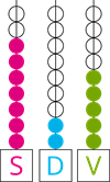 YCUZD_240801_6501_skaitīkļi_14.png