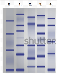 Screenshot 2025-10-20 161230.png