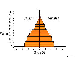 vec1.png