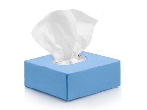 Shutterstock_2167899117_napkins_salvetes.jpg
