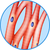 YCUZD_230908_5535_zirgs_2.png