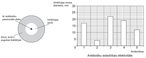 Screenshot 2025-10-20 104447.png