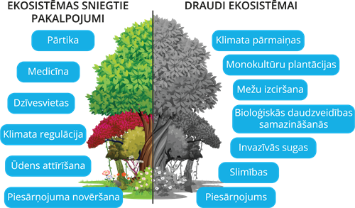 YCUZD_250519_7312_ekosistema_daudzveidiba_24.png