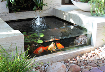inspiring-how-to-make-fish-pond-creative-fish-pool-idea-installing-glass-to-pond-pool.png
