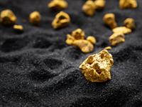 Shutterstock_1937688025_gold_zelts.jpg