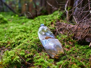 Shutterstock_2042280668_ plastic water bottle_plastmasas ūdens pudele.jpg