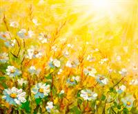 Shutterstock_1780405142_meadow painting_pļavas glezna.jpg