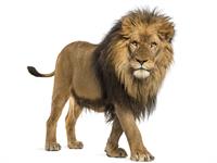 shutterstock_745688305.jpg