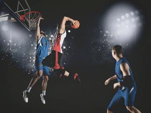 shutterstock_1912484788.jpg
