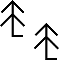 Topo_pinesAsset 4.png