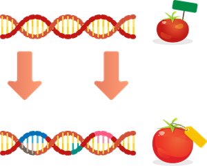 YCUZD_230925_5585_GMO.png