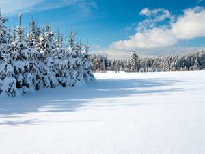 Shutterstock_110052167_flat snow_gluds sniegs.jpg