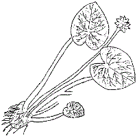 slapji2.gif