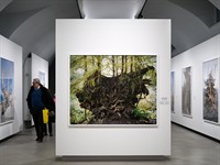 Renato Murolo 68 Shutterstock_photography exhibition_fotogrāfiju izstāde.jpg