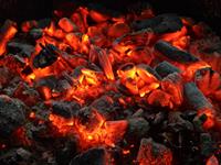 Shutterstock_1061599127_coal_ogles.jpg