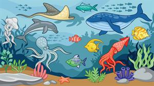 Shutterstock_2281035787_sea ecosystem_jūras ekosistēma.jpg