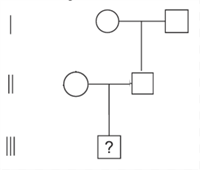 Screenshot 2025-12-15 121856.png