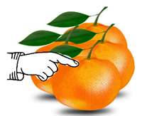 these_oranges.png