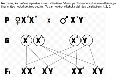 Screenshot 2026-01-28 123100.png